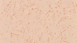 7016 Tropic Terra Cooper - Mural Calypso