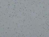 Mipolam Planet 5430 Sideral Grey