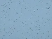 Mipolam Planet 5416 Acquamarina