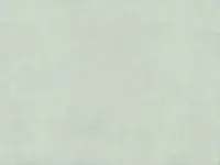 CalypsoLichen---7011