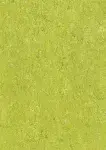 LIME GREEN - COLOUR SCAN