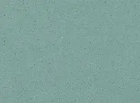 TARASAFE STANDARD - Leaf